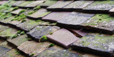 Dingle roof repair costs